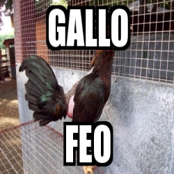 Meme Personalizado - Gallo Feo - 5279517