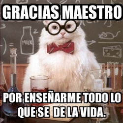 Meme Chemistry Cat Gracias Maestro Por Ensea Arme Todo Lo Que Se De La Vida